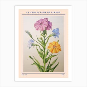 Phlox French Flower Botanical Poster Art Print