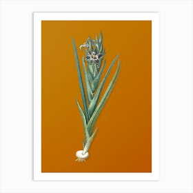 Vintage Ferraria Botanical on Sunset Orange n.0109 Art Print