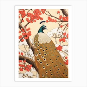 Bird Illustration Peacock 3 Art Print