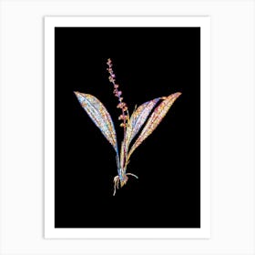 Stained Glass Peliosanthes Teta Mosaic Botanical Illustration on Black Art Print