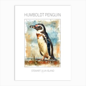 Humboldt Penguin Stewart Island Ulva Island Watercolour Painting 2 Poster Art Print