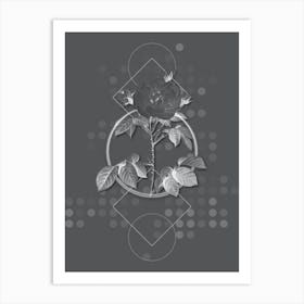 Vintage Rosa Alba Botanical with Line Motif and Dot Pattern in Ghost Gray n.0005 Art Print