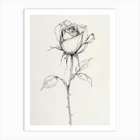 English Rose Black And White Line Drawing 20 Art Print