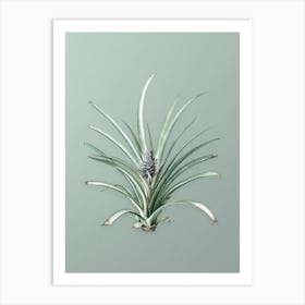Vintage Pineapple Botanical Art on Mint Green Art Print
