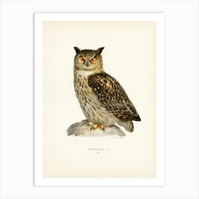 Eurasian Eagle Owl, The Von Wright Brothers Art Print