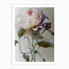 Rose bn Art Print