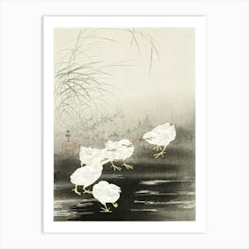 Chicks Eating Worms (1900 1930), Ohara Koson Art Print