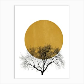 Winter Morning, Tree In The Sun Art Print