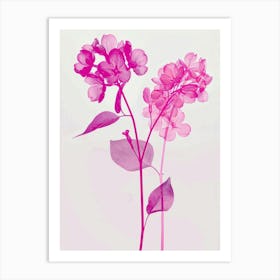 Hot Pink Lilac 1 Art Print