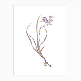 Stained Glass Phalangium Bicolor Mosaic Botanical Illustration on White Art Print