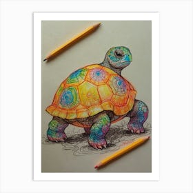 Colorful Tortoise Art Print