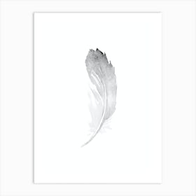 Grey Feather 1 Art Print