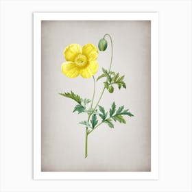 Vintage Welsh Poppy Botanical on Parchment Art Print