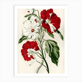 Hibiscus 32 Art Print