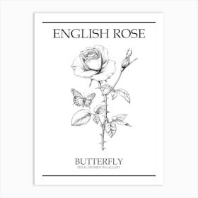 English Rose Butterfly Line Drawing 1 Poster Art Print