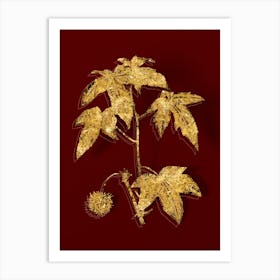 Vintage American Sweetgum Botanical in Gold on Red Art Print