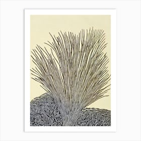 Acropora Digitifera Iii Linocut Art Print