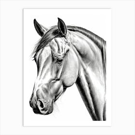 Highly Detailed Pencil Sketch Portrait of Horse with Soulful Eyes 13 Art Print