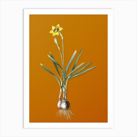Vintage Narcissus Gouani Botanical on Sunset Orange n.0466 Art Print