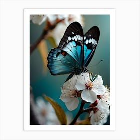 Blue Butterfly On Cherry Blossom Art Print