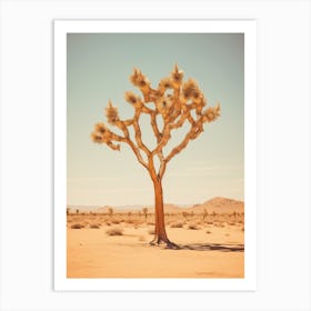  Photograph Of A Joshua Tree In A Sandy Desert 3 Art Print