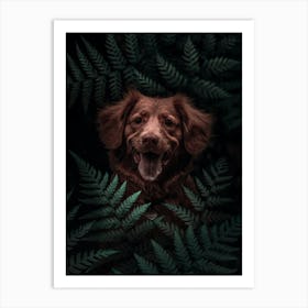 Dog Brown In The Forest Art Print