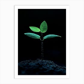 Small Green Plant On Black Background 27 Art Print