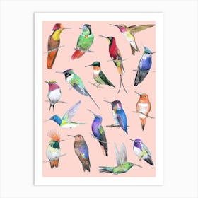 Hummingbirds On Pink Art Print