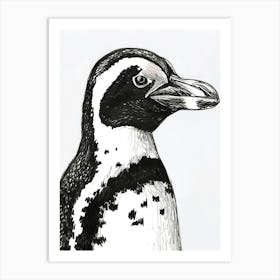 African Penguin Staring Curiously 4 Art Print