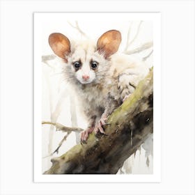 Light Watercolor Painting Of A Greater Glider 1 Art Print