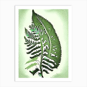 Lace Fern Vintage 1 Botanical Poster Art Print