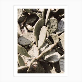 Cactus Cluster Art Print