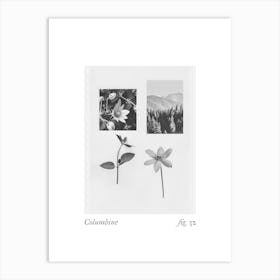 Columbine Botanical Collage 4 Art Print