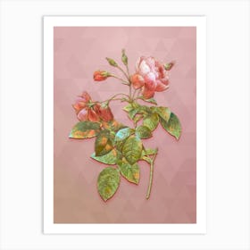 Vintage Pink Boursault Rose Botanical Art on Crystal Rose n.0428 Art Print