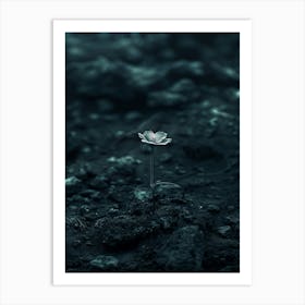 Flower In The Dark 40 Art Print