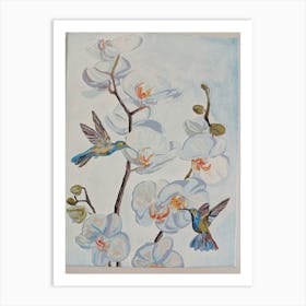 Hummingbirds And Orchids Art Print