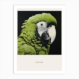 Ohara Koson Inspired Bird Painting Macaw 3 Poster Art Print