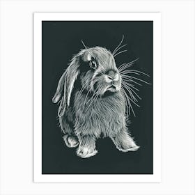 Mini Lop Rabbit Minimalist Illustration 2 Art Print