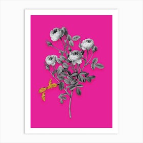 Vintage Burgundian Rose Black and White Gold Leaf Floral Art on Hot Pink n.0493 Art Print