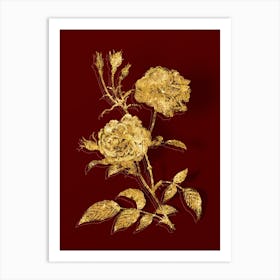 Vintage Vintage Ever Blowing Rose Botanical in Gold on Red n.0184 Art Print