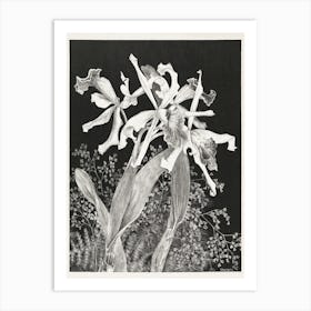 Orchids (1900), Theo Van Hoytema Art Print