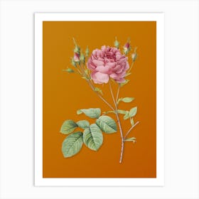 Vintage Pink Cumberland Rose Botanical on Sunset Orange n.0576 Art Print