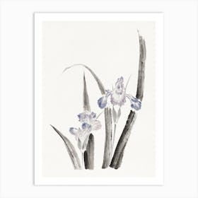 Japanese Iris Flower, Katsushika Hokusai Poster