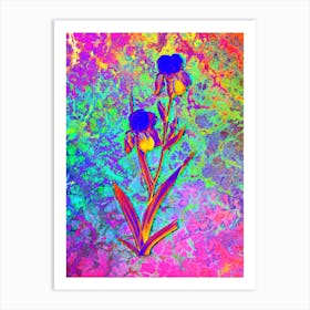 Elder Scented Iris Botanical in Acid Neon Pink Green and Blue n.0349 Art Print