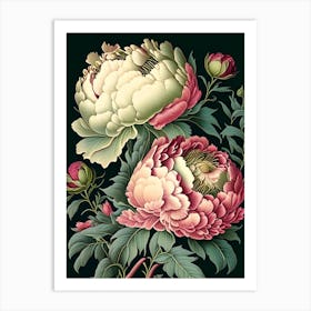 Alexander Fleming Peonies 2 Vintage Botanical Art Print