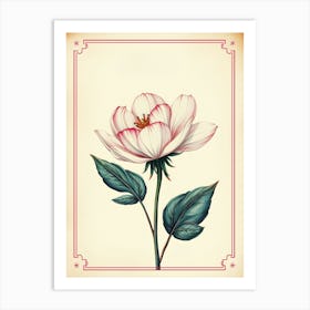 Vintage Peony Flower Art Print