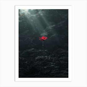 Red Flower In The Dark 2 Art Print