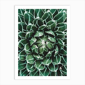 Green Cactus Heart Art Print