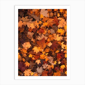Autumn Leaves On The Ground Autumn Leaves Foliage Fall Art Print