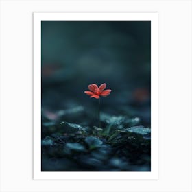 Single Red Flower 13 Art Print